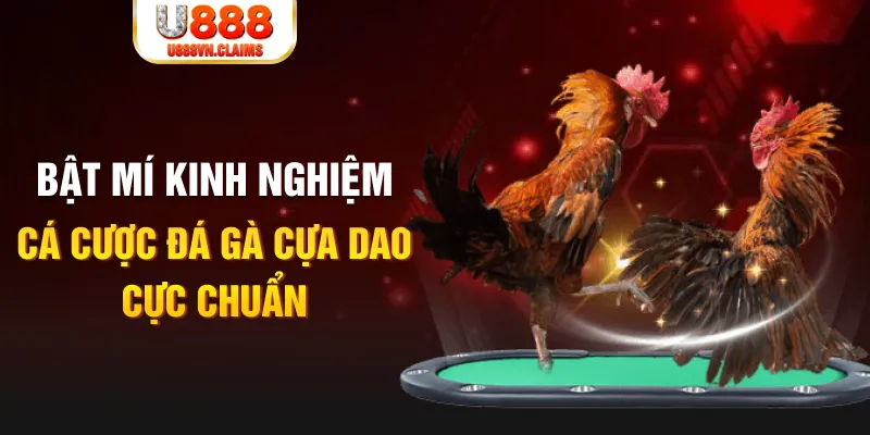 cakhia 6 trong baccarat, ai là người chia bài chính？