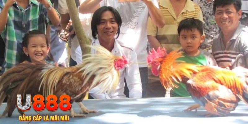 cakhia 6 mơ thấy nổ hũ đánh con gì