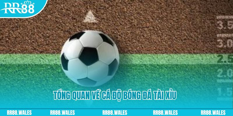 cakhia 6 JDB Điện Tử