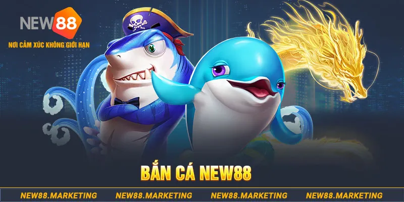 cakhia 6 ga choi c1 tv