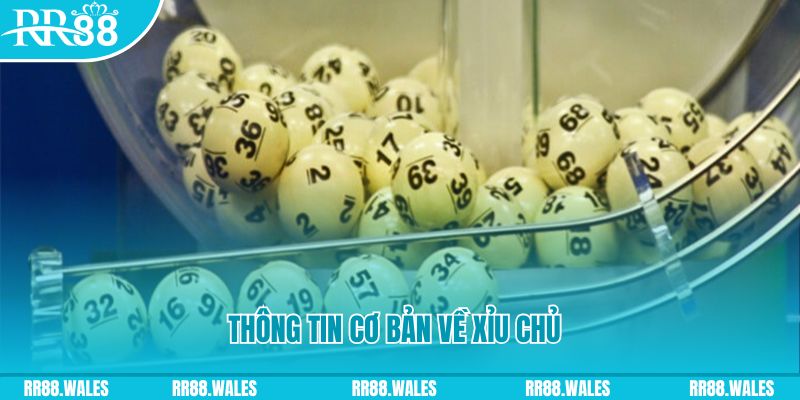 cakhia 6 baccarat long bảo là gì