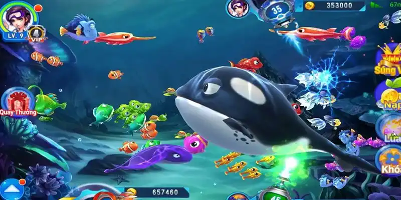 cakhia 6 truc tiep da ga