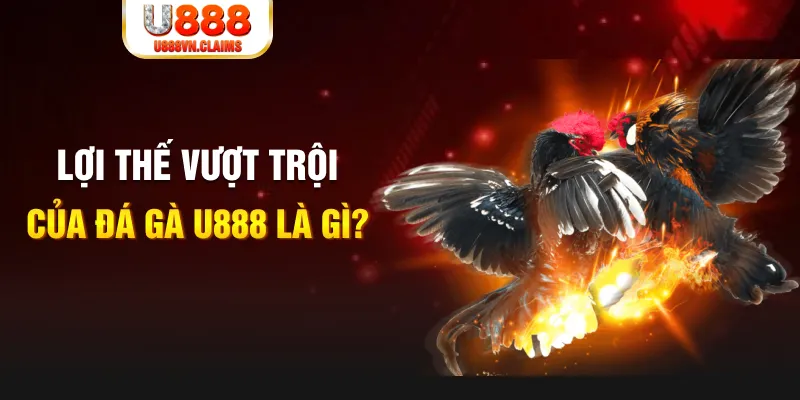 cakhia 6 888 slot là gì